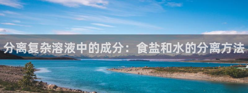 威九国际网站是多少