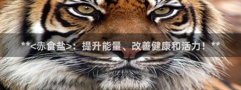 威九国际网站为什么不禁止